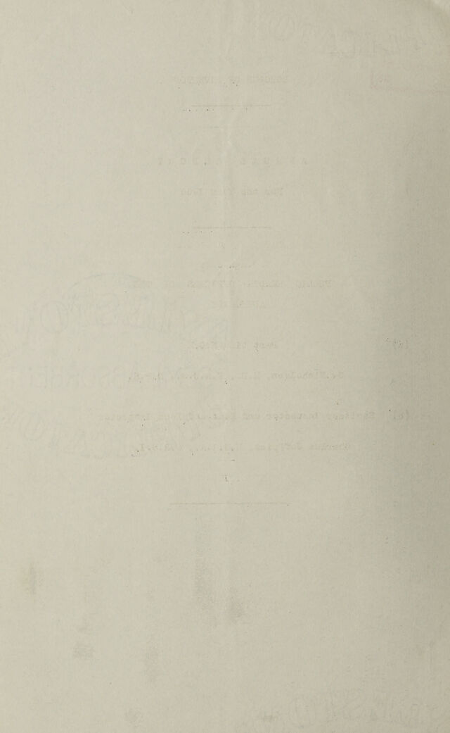 digitised image 2