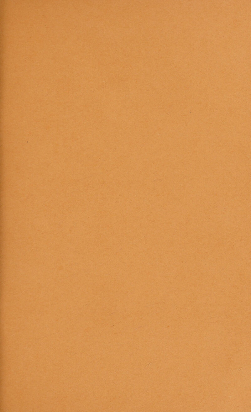 t p' r i <0 t r f. IN k ? 'i- f y i t-