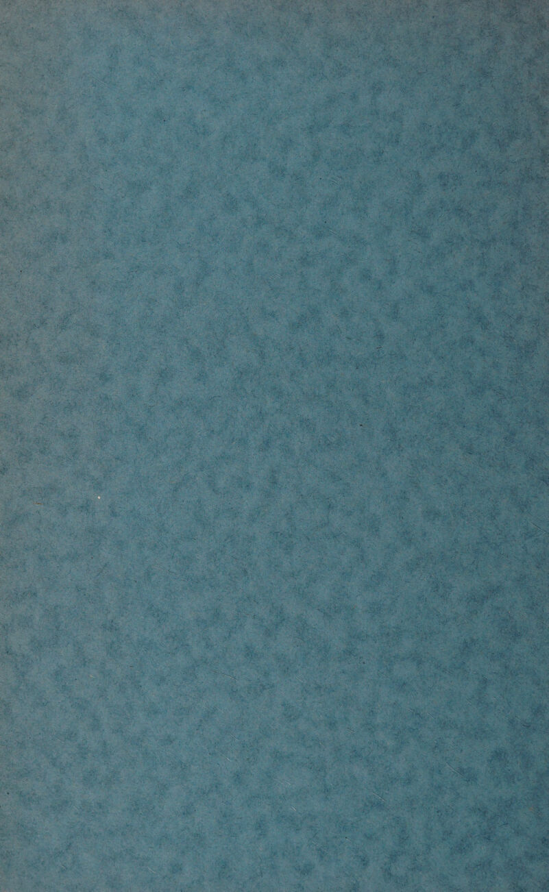 . v:: ■ . .vv * ' v v V :•  V