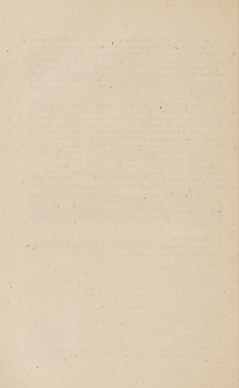 ' -i . ' ^ ' i \ ♦ . • ' • A t •» I * V) \ ., s i. '« . •, • ■ ' ■ w' . v .. ‘ * h. i ■: .'j r- \ ♦ f 4 / r # ■ ^ '# It j ■/■I > li I i 4 \ ‘i i \ 0 1 # / / • /. ■* \ I # / I : \ ) f \ ( «»
