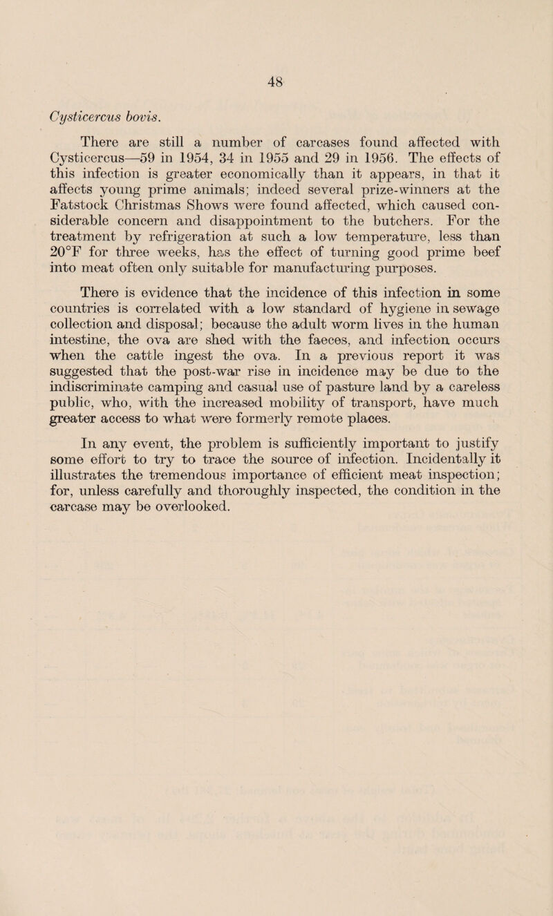 Cysticercus bovis. There are still a number of carcases found affected with Cysticercus—59 in 1954, 34 in 1955 and 29 in 1956. The effects of this infection is greater economically than it appears, in that it affects young prime animals; indeed several prize-winners at the Fatstock Christmas Shows were found affected, which caused con¬ siderable concern and disappointment to the butchers. For the treatment by refrigeration at such a low temperature, less than 20°F for three weeks, has the effect of turning good prime beef into meat often only suitable for manufacturing purposes. There is evidence that the incidence of this infection in some countries is correlated with a low standard of hygiene in sewage collection and disposal; because the adult worm lives in the human intestine, the ova are shed with the faeces, and infection occurs when the cattle ingest the ova. In a previous report it was suggested that the post-war rise in incidence may be due to the indiscriminate camping and casual use of pasture land by a careless public, who, with the increased mobility of transport, have much greater access to what were formerly remote places. In any event, the problem is sufficiently important to justify some effort to try to trace the source of infection. Incidentally it illustrates the tremendous importance of efficient meat inspection; for, unless carefully and thoroughly inspected, the condition in the carcase may be overlooked.
