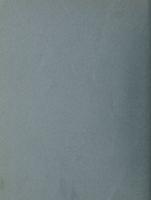 digitised image 2