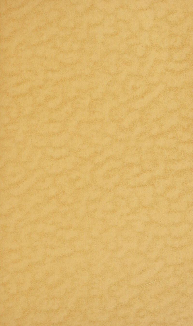 . ... • -r■. - S ■ ' . ■V ' - r ■ . .. ./.• . - W v ) . •••'■ -•s. ■■ ..... ?/■ , ' . .< ' ' ■ M . • ■ '