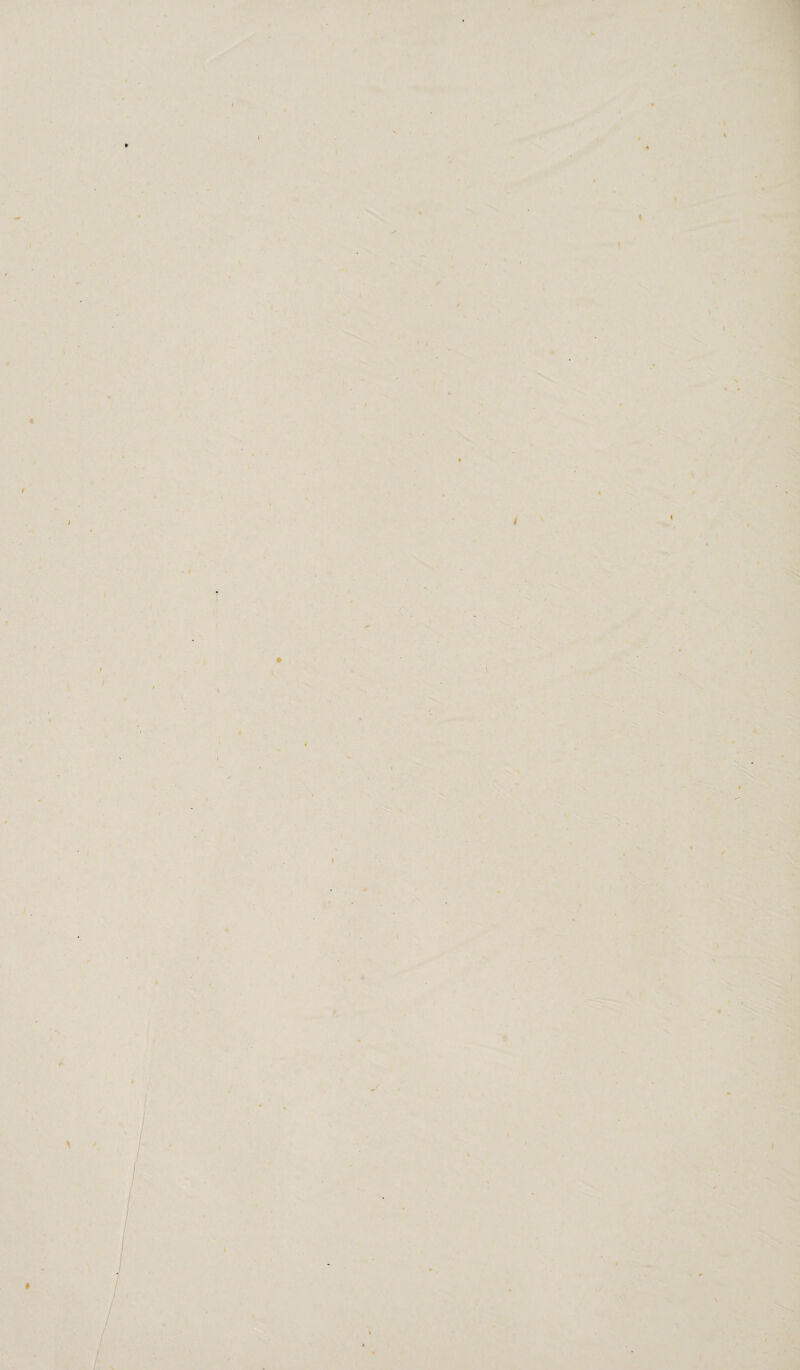 i .«♦ * .1 I- \ ^ . s >- I % I '% \ A i ■'! * .4_i )