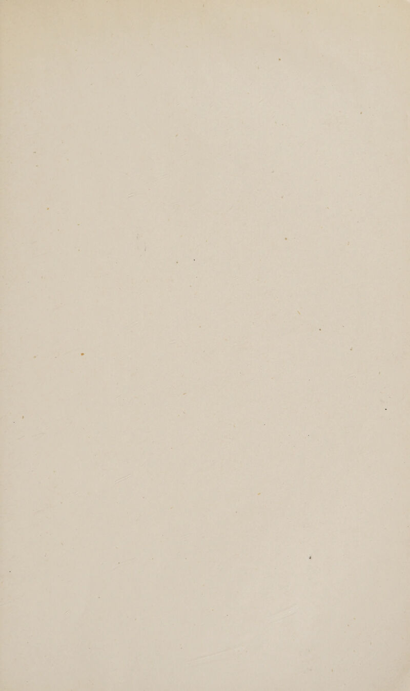 i > *:• ■V' y •/» /