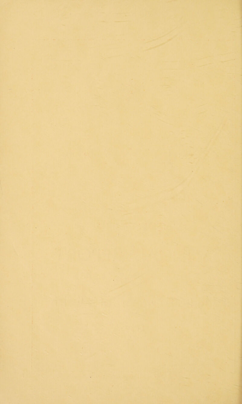 V 'ir . ] 4/'' A « • i ■ .»’’l '^li - ?, jy. - •' iV