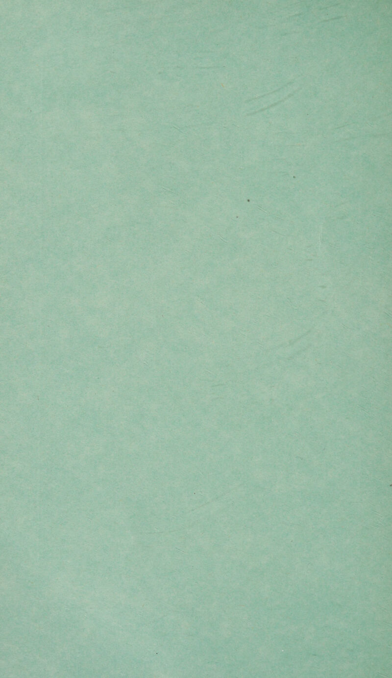 '.^'<. ‘<k}.'^'' v!- - f r.---’{. :■ V •- • V ' ,f-.^ ' 4 ■ -'* V ■ ■ '•.' ' '.\XT jr ■ -'' •'•'•.■- ■•.y'-xjs\.... . ■ ■ ■■ '-'-■ ■- •' .... • • *-' -, • ••*'» * '- '-•* ■ ■ ■ V ■ ■''. r.'S^' ^ ■ • ■-'V, r-^'--' ■' - r'»T.;<J ;i'- •' / ^ .iFk ^tm