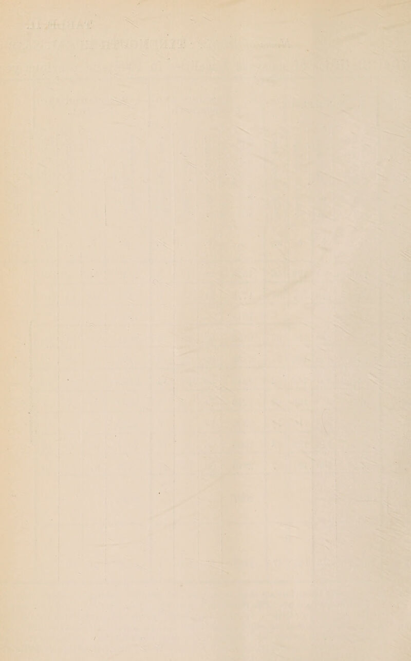 *r  ; J1. % vStr / J; ,i J, •i' * S>1 /.