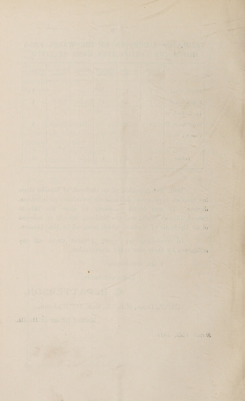 ■■ I--: M* ■ * * t' • wH. \ J- v'-a