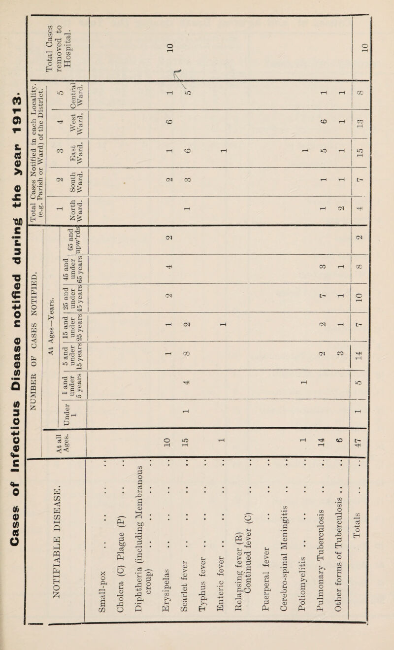 Cases of Infectious Disease notified during the year 1913*