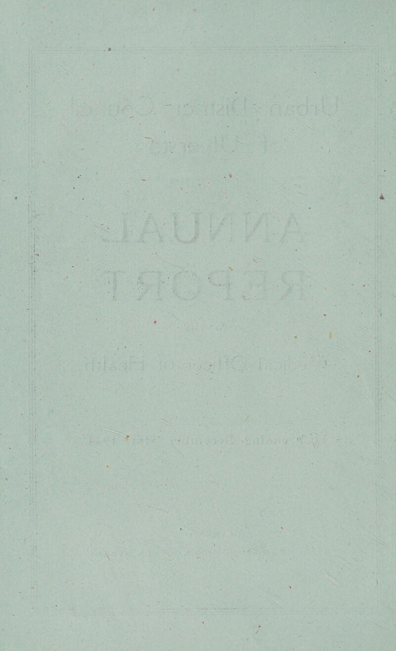 » . I \ ■' ■ y / r f V I