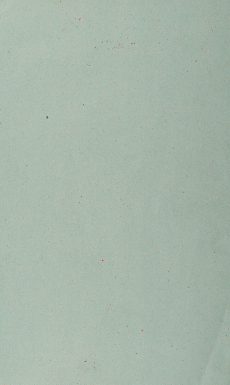 * - • ,„•* \ * iff X t 1 } \ I