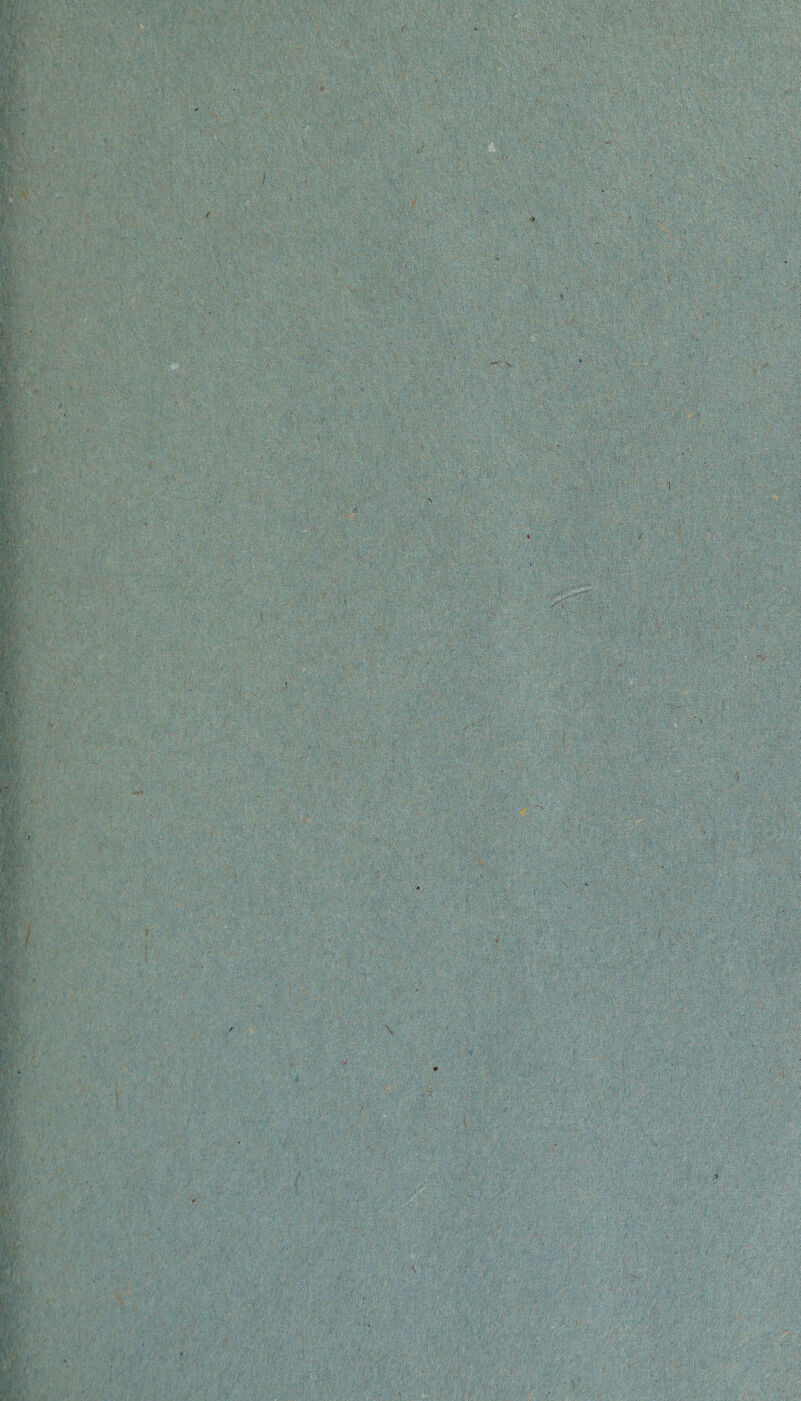 | V- ,4 v- jp;; I I''-' m '.ft' if}/} •£= i i fi.f