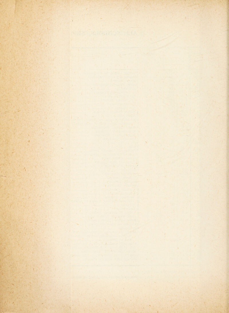 v S' . , ' -r , / ' 1 ■■ f ' ■ 1 - . ■ ' ! ' ' ' ' *• • v ; t • *... , , v- i/ < -*■ I \ , , < *< ; - ' , «, ■, ‘ r ' i p.;: . ’ * * . *r .• .% y il V . ' t, •. £%; •?■•>' '> I < ' . !. * ' f' ft v< : v.. / , d/ V*: , ■* ’ J- ■ -w 1 ' ^ n,'n‘ . ; '• ^ . -■ . *■ vA . A - ' ■ \ V / t \ • 'I ' ' ' . , ■ V,, /■ , , SUnSwir T >t . ’ ' f fjk‘’it •£ —'1 • , J ;S' ■ , • , ■ St ■' ■ v •• • ■ I . / S i , Bp4&‘ ii-X ‘ * : *.■ : I , * . A;' ; ;• 1 ■ . - ^ ,'A .. . : . ' , ' - • , ' . ' •' » ■' . / . ' ' ' ;r xl/VV ' J % ‘ f, ■ 7 ■ ' ' ' , ’/ . 3&J j-- .. -A r - ■ r , * ; ' ■ , ■ '« ■ . * ^: '' t ,'u