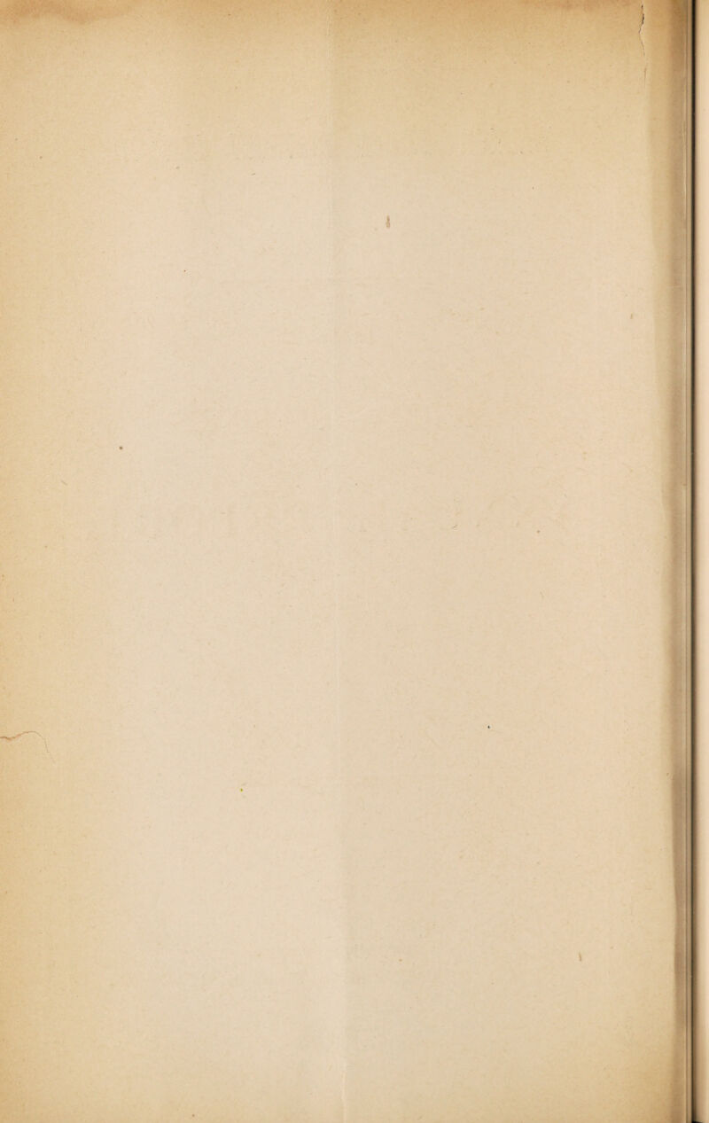 ' • - ■ . i ■ - - • ... » •* ■