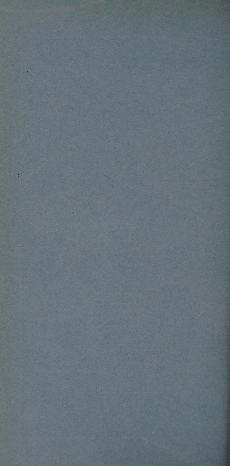 . - . • ‘ ' - -: ■r r -. < : •* * • 2*3 v ■ , , • tr -'.*•1