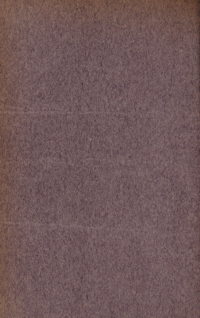 ffiiiiiiii; % m ■ :