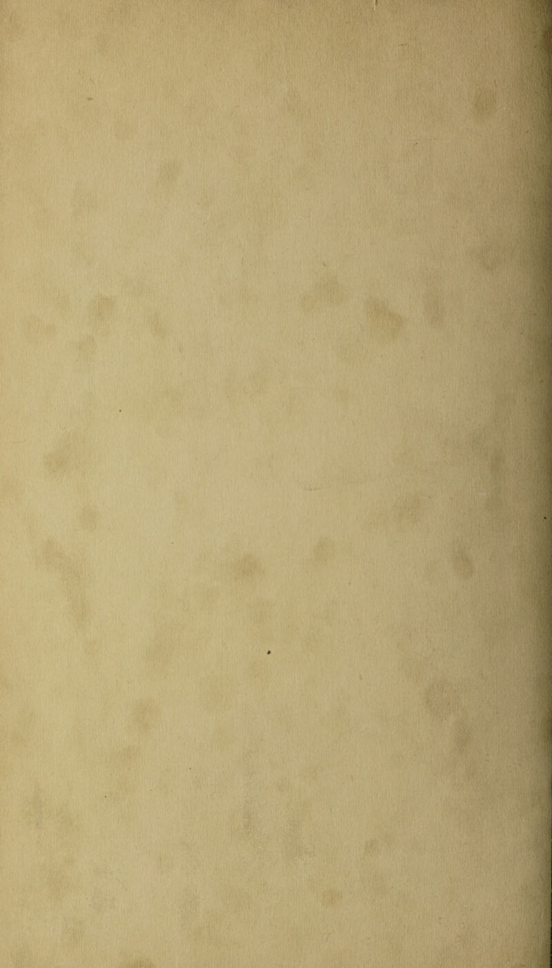 m- ■ / fV ' t •<11 ■JJi M