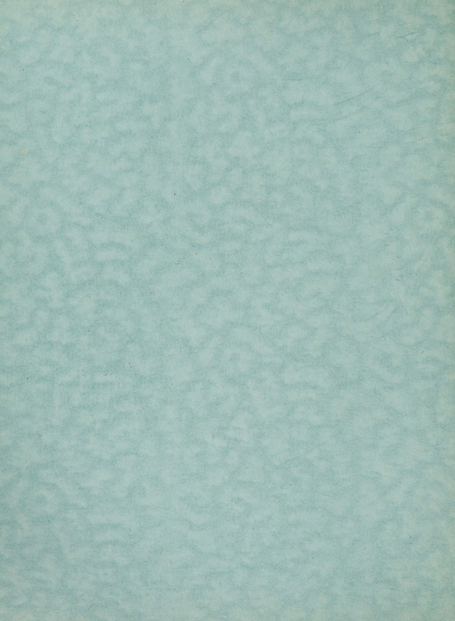digitised image 2