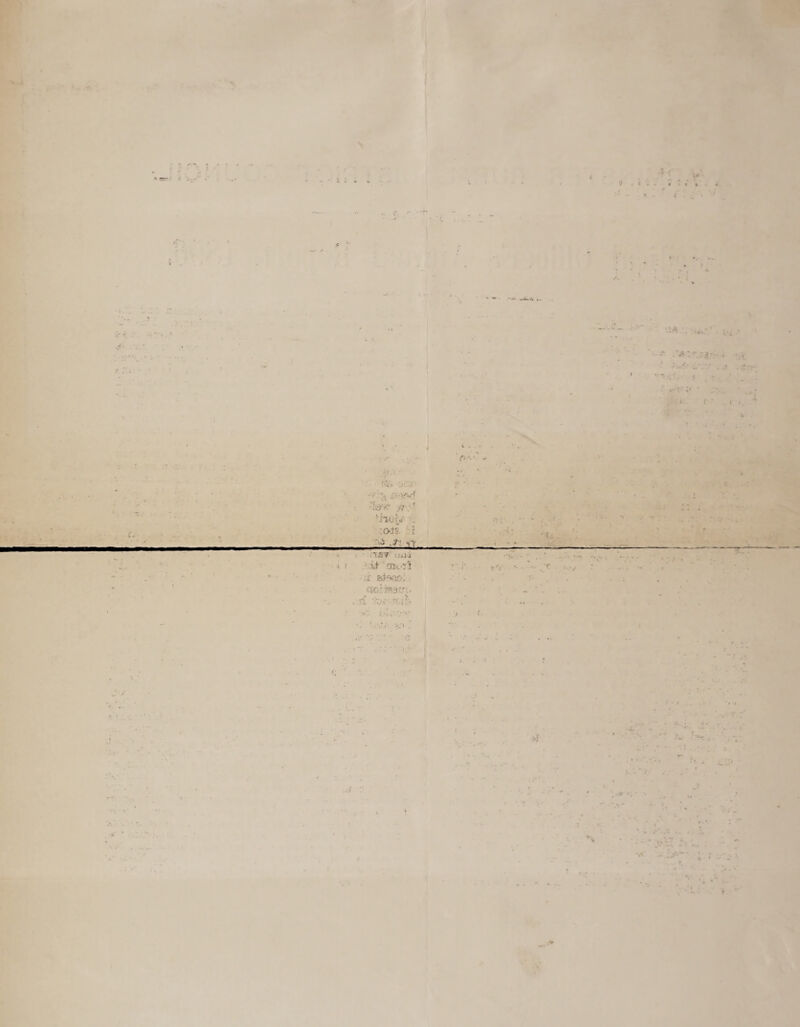 t X8Y Uuj «. ' i.t O&vll if esteao- ctc.rmazj. t