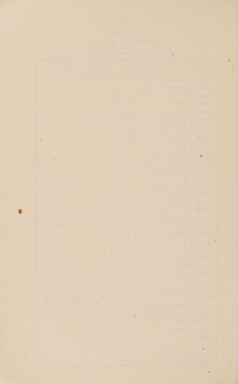 t - ' # \ f s’ \ i ) ■ j » 1