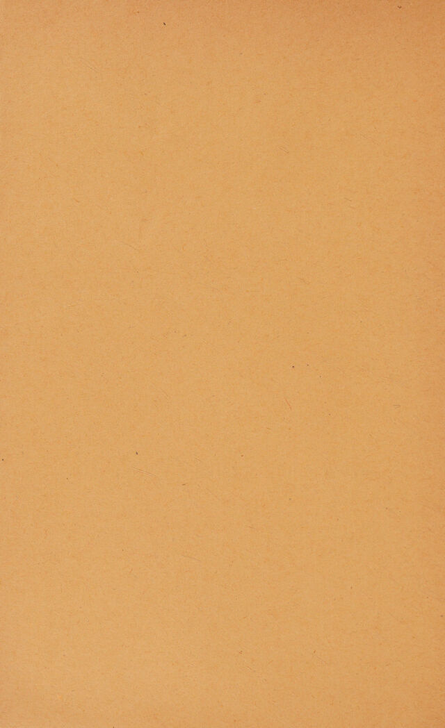 digitised image 2