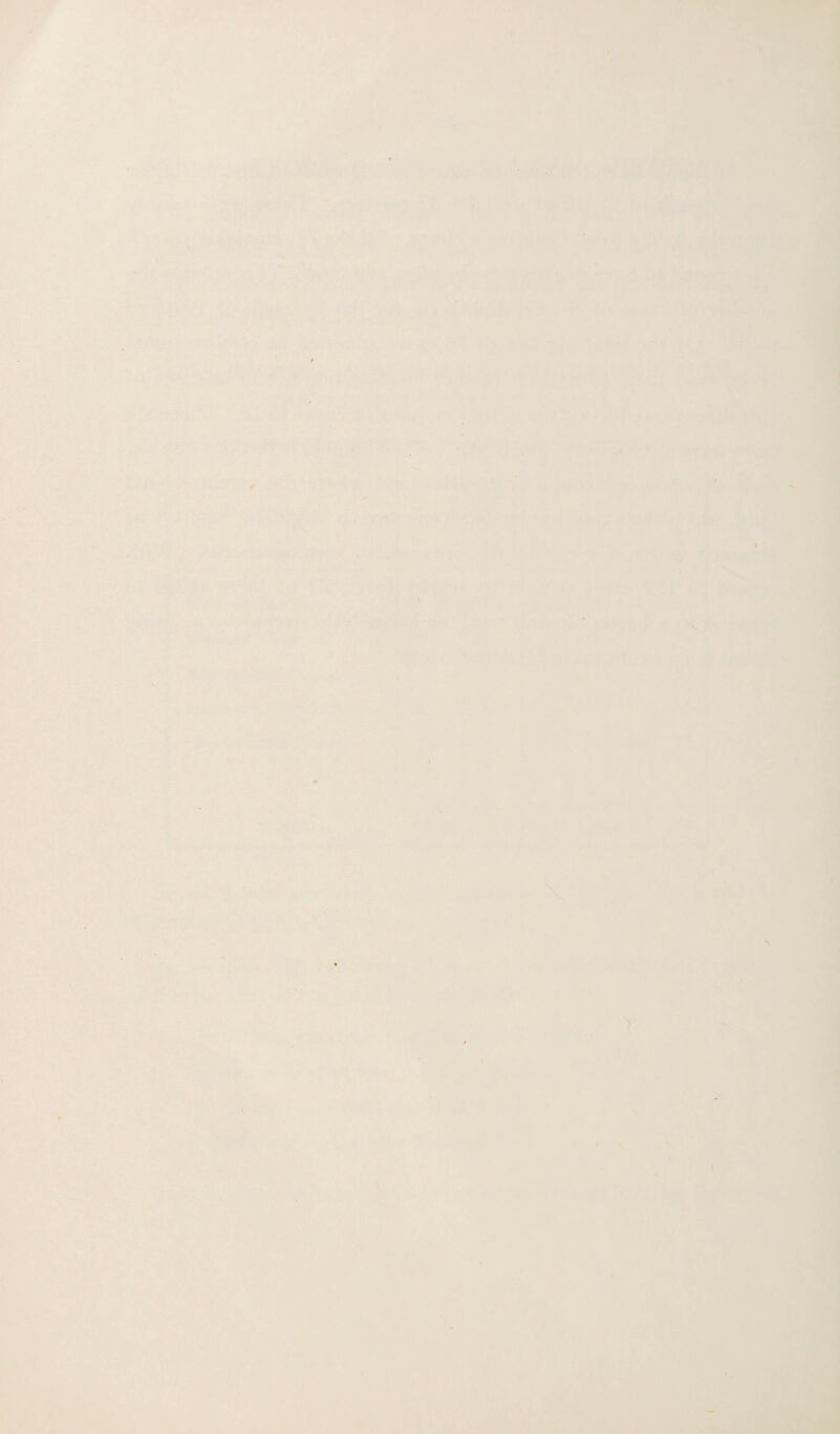 Ik ■ ■ >W-a „..,,,. pi i'-.!'■' ■ m \ • ■ ' <4)1 . t.. 7 ;fv§^ '« - • ,*■ V ♦/> iV.'. ' ■*■:•• ■5 'V''.^ '^^ I'i' -■ ''. J • , '■• .'v ' ’•. ^ V .-. vi^ -'  xih 4? r-J ^ t ' « '' ^ t* - ’ * '* m V^ ’f»' .v^ '■^'3?^.^ , '.r < « ;j.' r^O, V M - ^ < ■’' ■>. *■/ ■•7^