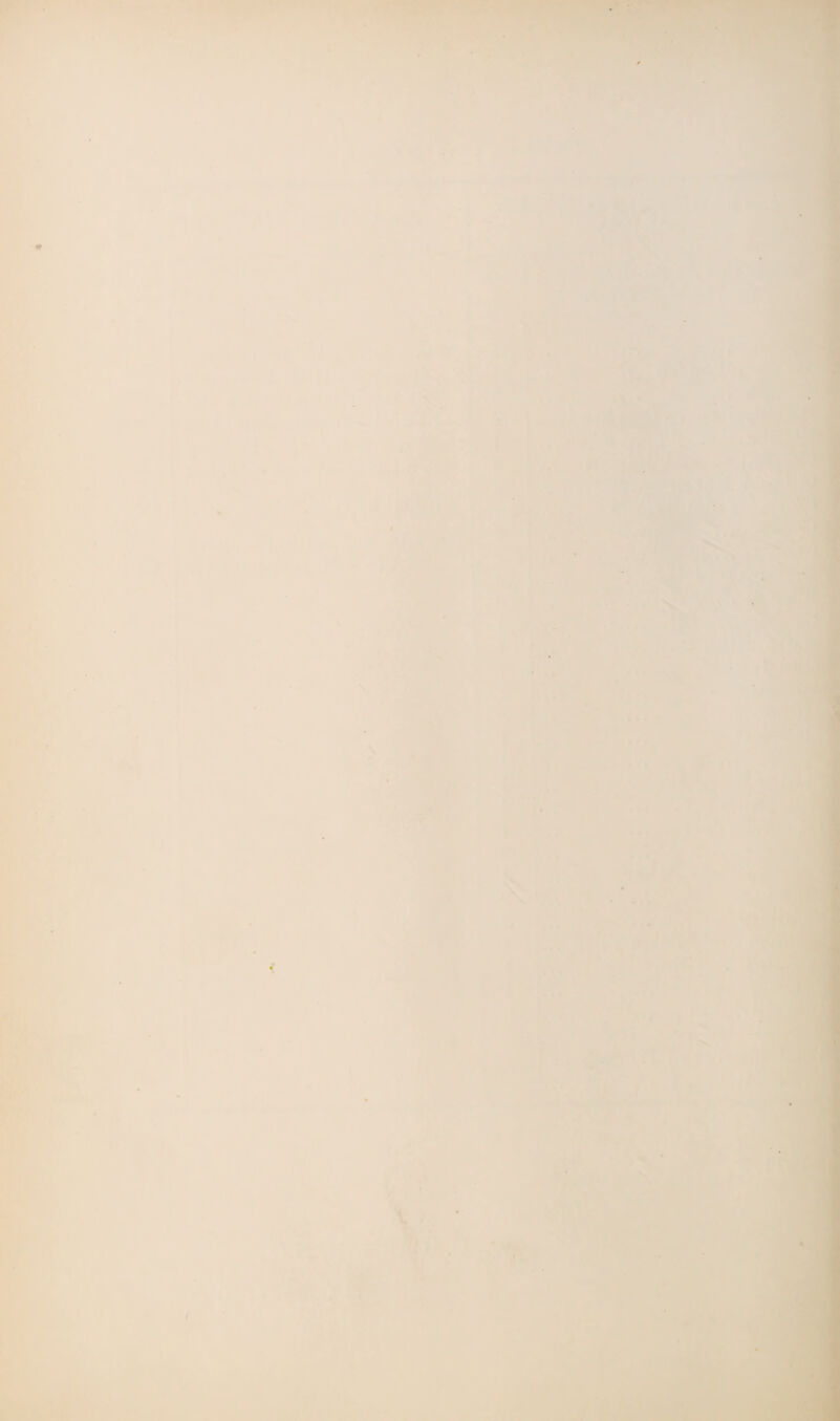 % 'Tr 4'' r ^ i r- * .'i>*iL<\**r . •. V • .►) ' r* M ',. - .r :<■ .,/ *•■ ' i'j 1 •* . ' /.» ,Ti ''l i **<> ?!^ ,* 1 if * sr a'\3 • '' '-SSHb k' ' ^' ,?rjiL fc: ; g -■, > Kik •t,. 'h ‘..M, •• :. ‘ > ' r » ' 'J, 1 ''•'^' ■ ,< ■> ‘ u' ■ ■ ■ £>^i • •; . i.K> ‘ X * -*i •vH- ■'H*‘ c,f- K ^ 1 • 4-