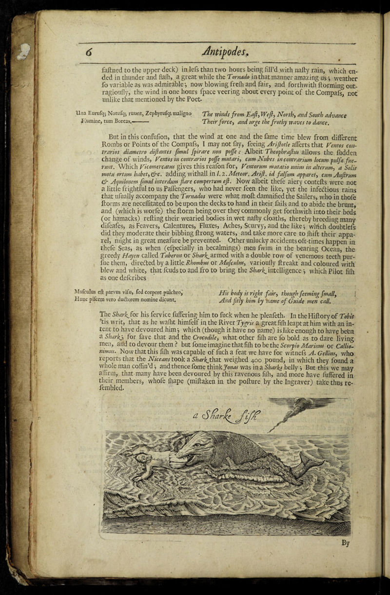 Antipodes, faftned to the upper deck) in lefs than two hours being fill’d with natty rain, which en¬ ded in thunder and flalh, a great while the Tornado in that manner amazing us *, weather fo variable as was admirable j now blowing frelh and fair, and forthwith ftorming out- ragioufly, the wind in one hours fpace veering about every point of the Compafs, not unlike that mentioned by the Poet. Una Eurufqj Notufq- ruunt, Zephyrufq; maligno The winds from Eaft, Weft, North, and South advance flumine, turn Boreas.—— Their force, and urge the frothy waves to dance. But in this confufion, that the wind at one and the fame time blew from different Rombs or Points of the Compafs, 1 may not fay, feeing Ariftotle atterts that Femes con- trarios diametro diftantes fimul fpirare non pojfe; Albeit Theophraftus allows the fudden change of winds, Fentos in contrarios pojfe mutari, cam Niibes incontrarium locum pulfie fue- runt. Which Ficomercatm gives this reafon for, Fentorum mutatio unim in alteram, a Solis motu ortum habet, &c. adding withall in /. 2. Meteor. Arift. id falfum apparet, cumAuftrum dr Aquilonem fimul interdum flare compertum eft. Now albeit thefe aiery contefts were not a little frightful to us Pattengers, who had never feen the like, yet the infectious rains that ufually accompany the Tornados were what molt damnified the Sailers, who in thofe ftorms are neceffitated to be upon the decks to hand in their fails and to abide the brunt, and (which is worfe) the ftorm being over they commonly get forthwith into their beds (or hamacks) retting their wearied bodies in wet natty cloaths, thereby breeding many difeafes, asFeavers, Calentures, Fluxes, Aches, Scurvy, and the likewhich doubtlefs did they moderate their bibbing ftrong waters, and take more care to Ihift their appa¬ rel, might in great meafure be prevented. Other unlucky accidents oft-times happen in thefe Seas, as when (efpecially in becalmings) men fwim in the bearing Ocean, the greedy Hayen called Tuberon or Sharks armed with a double row of venemous teeth pur- fue them, directed by a little Rhombus or Mufculm, varioully ftreakt and coloured with blew and white, that feuds to and fro to bring the Sharks intelligence •, which Pilot fifh as one deferibes Mufculus eft parvus vifu, fed corpore pulchro, Jody is right fair, though feeming fmally Hunc pifeera vero dudorem nomine dicunt. And fitly him by name of Guide men call. The Sharks for his fervice Puttering him to fuck when he pleafeth. In the Hiftory of Tobit 5tis writ, that as he waffit himfelf in the River Tygris a great fifh leapt at him with an in¬ tent to have devoured him j which (though it have no name) is like enough to have be'en a Sharks for fave that and the Crocodile, what other fifh are fo bold as to dare living men, and to devour them ? but fome imagine that fifh to be the Scorpio Marinus or Callio- nimus. Now that this fifh was capable of fuch a feat we have for witnefs A. Gellius, who reports that the Niceans took a Sharkjh^t weighed 400 pound, in which they found a whole man coffin dand thence lome think Jonas was in a Sharks belly ^ But this we may affirm, that-many have been devoured by this ravenous fiffi, and more have Puttered in their members, whofe ffiape (miftaken in the pofture by the Ingraver) take thus re- fembled. By