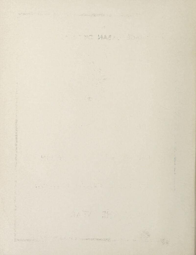 •J. ’ •« j i ■ii . , 'SC i| cl t; t..; r! n- ■