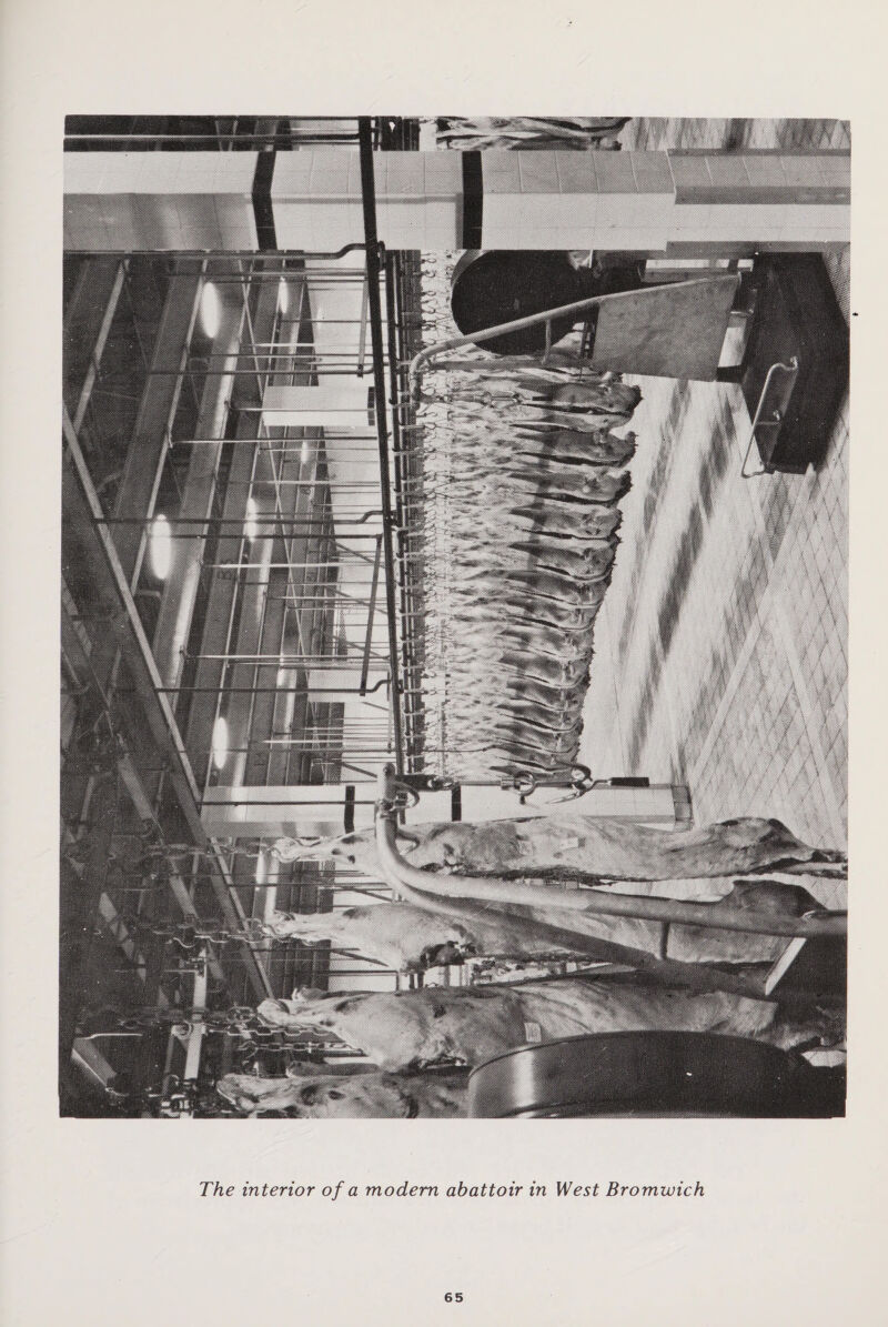The interior of a modem abattoir in West Bromwich