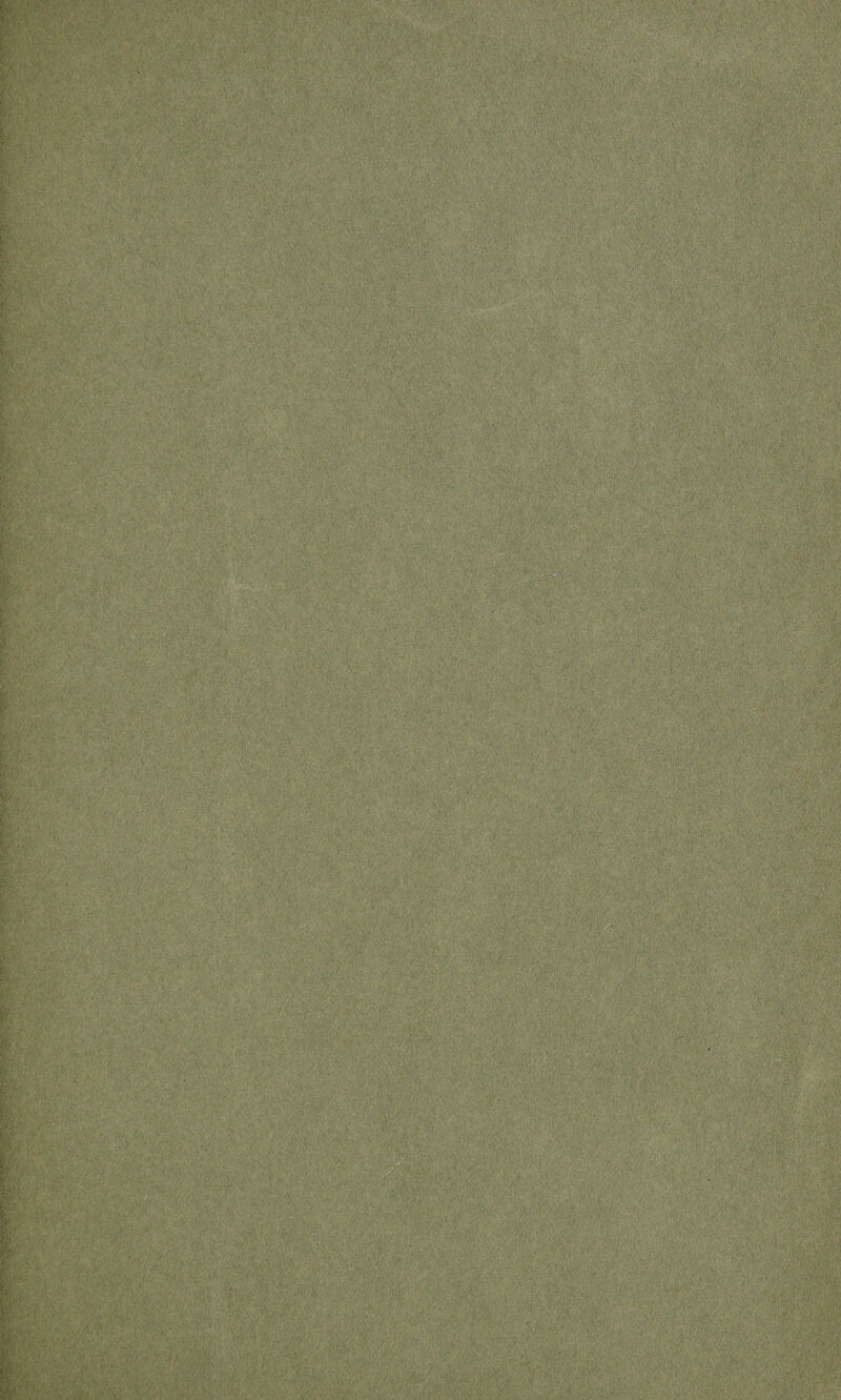 ' ';i'.; * ' - J. 1 ■ ■- ; . , , •:■■'■■';;.Y ' : . ::i - -Y :;- '■ . - V , Y •! • .\i , 1 J'-' ■1:r :'yy, v ..yy-*/Y'; Yv,. ,.■/ ,, 4 ;V; '*W a. S '..8 . . .-•. . ' -I •:«* . •. • .*•.. ,n-\ aSA1 ;f}h f * Jfa* 1 ' 7 YY-V:' .'■■■ gpf® y, 1 \ ij f‘\'y “> fy(;'v',v $ yy,i ,',5'v 'YyY-Y'Y.Y^ ' ■ ^ 1 'fy -A\ MmMkm nI' -' ■• > „:■ • ...: