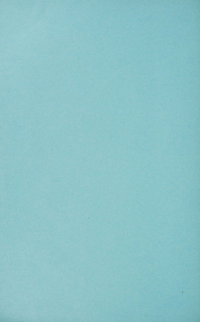 digitised image 2