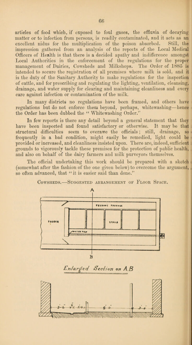 articles of food which, if exposed to foul gases, the effluvia of decaying matter or to infection from persons, is readily contaminated, and it acts as an excellent nidus for the multiplication of the poison absorbed. Still, the impression gathered from an analysis of the reports of the Local Medical Officers of Health is that there is a decided apathy and indifference amongst Local Authorities in the enforcement of the regulations for the proper management of Dairies, Cowsheds and Milkshops. The Order of 1885 is intended to secure the registration of all premises where milk is sold, and it is the duty of the Sanitary Authority to make regulations for the inspection of cattle, and for prescribing and regulating the lighting, ventilation, cleansing, drainage, and water supply for clearing and maintaining cleanliness and every care against infection or contamination of the milk. In many districts no regulations have been framed, and others have regulations but do not enforce them beyond, perhaps, whitewashing—hence the Order has been dubbed the “ Whitewashing Order.” In few reports is there any detail beyond a general statement that they have been inspected and found satisfactory or otherwise. It may be that structural difficulties seem to overawe the officials; still, drainage, so frequently in a bad condition, might easily be remedied, light could be provided or increased, and cleanliness insisted upon. There are, indeed, sufficient grounds to vigorously tackle these premises for the protection of public health, and also on behalf of the dairy farmers and milk purveyors themselves. The official undertaking this work should be prepared with a sketch (somewhat after the fashion of the one given below) to overcome the argument, so often advanced, that “it is easier said than done.” Cowsheds.—Suggested arrangement of Floor Space. A Enlarged Sec//on on A.B