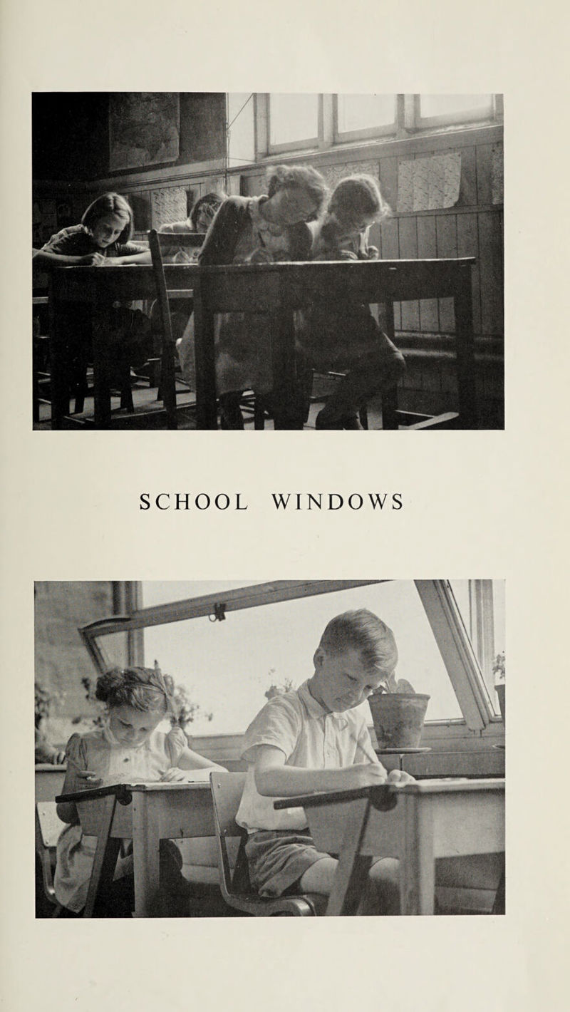 SCHOOL WINDOWS