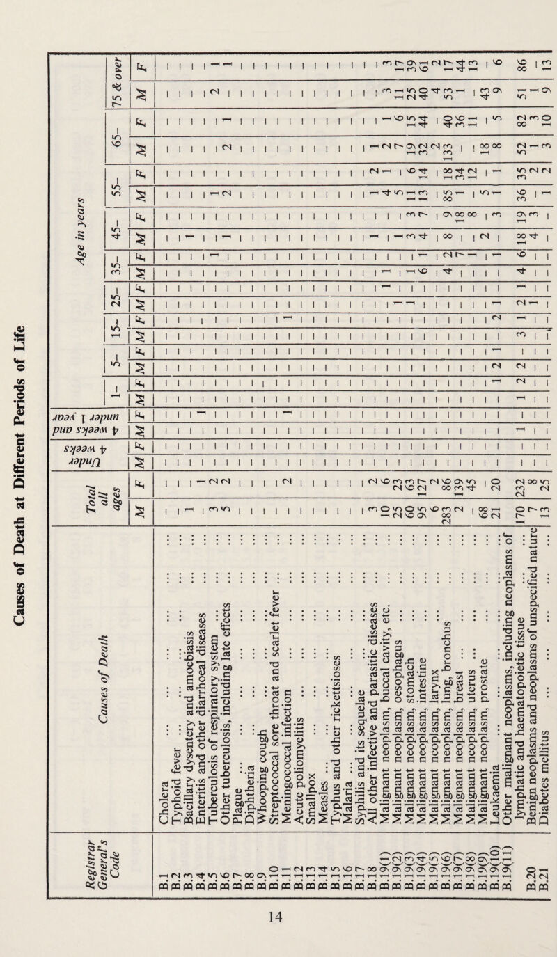 Causes of Death at Different Periods of Life