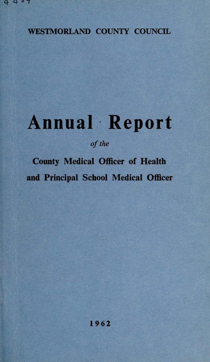 Annual Report of the County Medical Officer of Health and Principal School Medical Officer