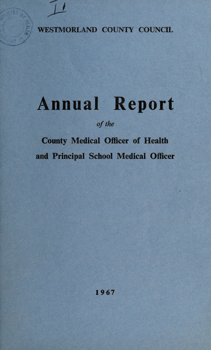 Annual Report of the County Medical Officer of Health and Principal School Medical Officer 1967