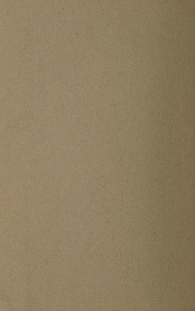 digitised image 2
