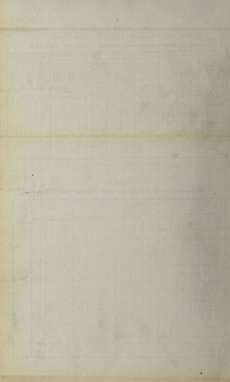 - : ' Wv* ■ WM * * i - — . ■ . fim ■