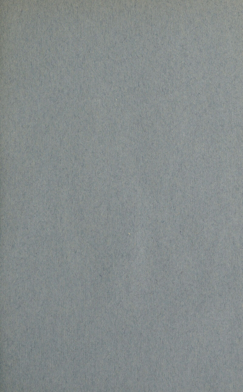 . >•* .I v. . ..I ....-■ ■ '• • V? P  . ■ . -• • •: ■ < - t ■ ■■ ■ I. . .. ■ •' ■ v •  A. ■ : ■ -i • ' V ■ •••?* > + :d. :< ^ rfi'i £ . ■ -■ ■■ • • , <(-: - E' ;. . .v - ' , • - i' $ & ■ , ' - ' • i , •• /■. ' ■ • ■ J‘ ' ' ' ' 'V \ ■ •'if- ... ‘ »** • ■■ ;• V i’’ '' !' ■ ?•/( . '. A » \ >• ' .• l‘>'- y' , • • • ‘ ,«7' •*« /* «• l* )ft* /.*• .• • $*1. ,v / 1 ■ . ' / *  ■'' *«' •••'.*' ‘ ' , ' ‘.II HP'V \ ’ . •< • \ «•> 1 • V.' . V;-.' • ■ >/' i: ;V.i- ; ' - . i'