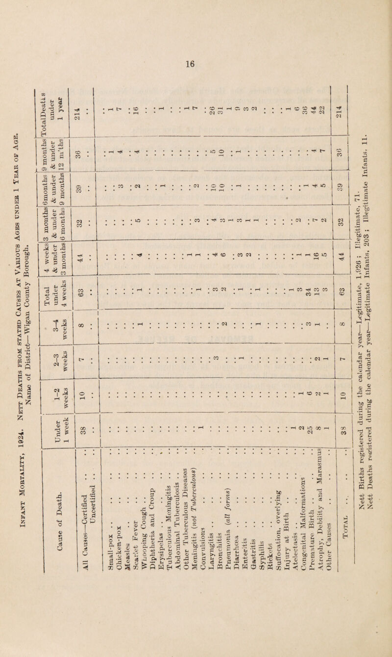 Nett Births registered during the calendar year—Legitimate, 1,926; Illegitimate, 71. Nett Deaths registered during the calendar year—Legitimate Infants, 203 ; Illegitimate n an s.