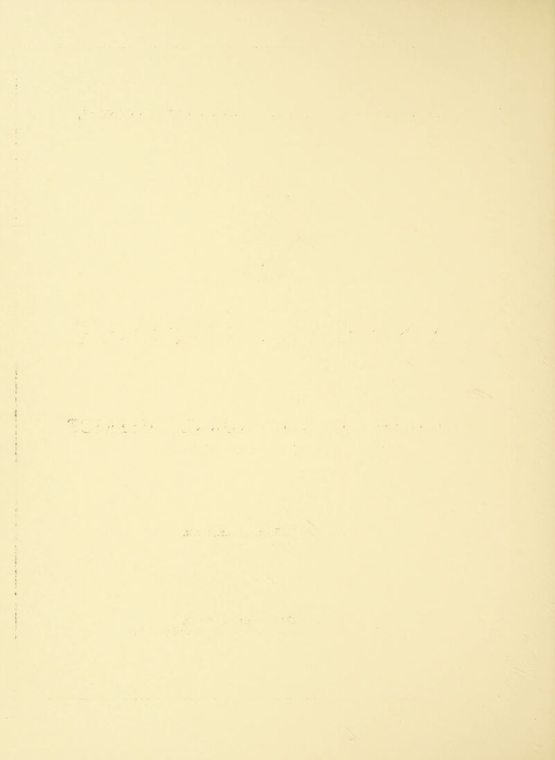 t! •t | * f .» i < 5 i > i 4 f, ■ w ? <• s ■;■ jj -r T ♦ ; * i >