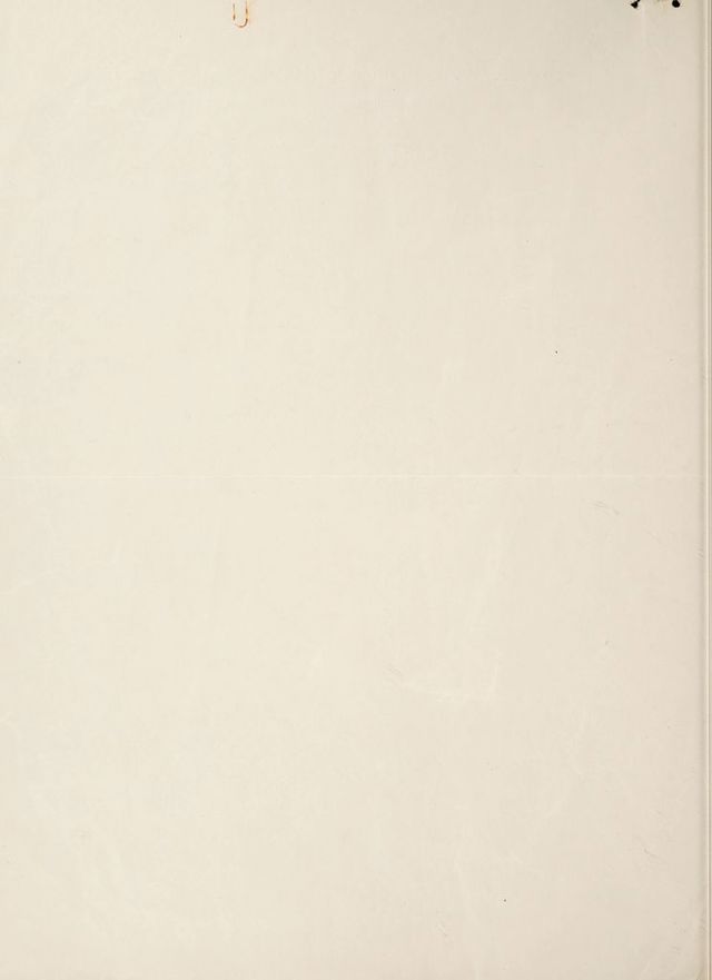digitised image 2