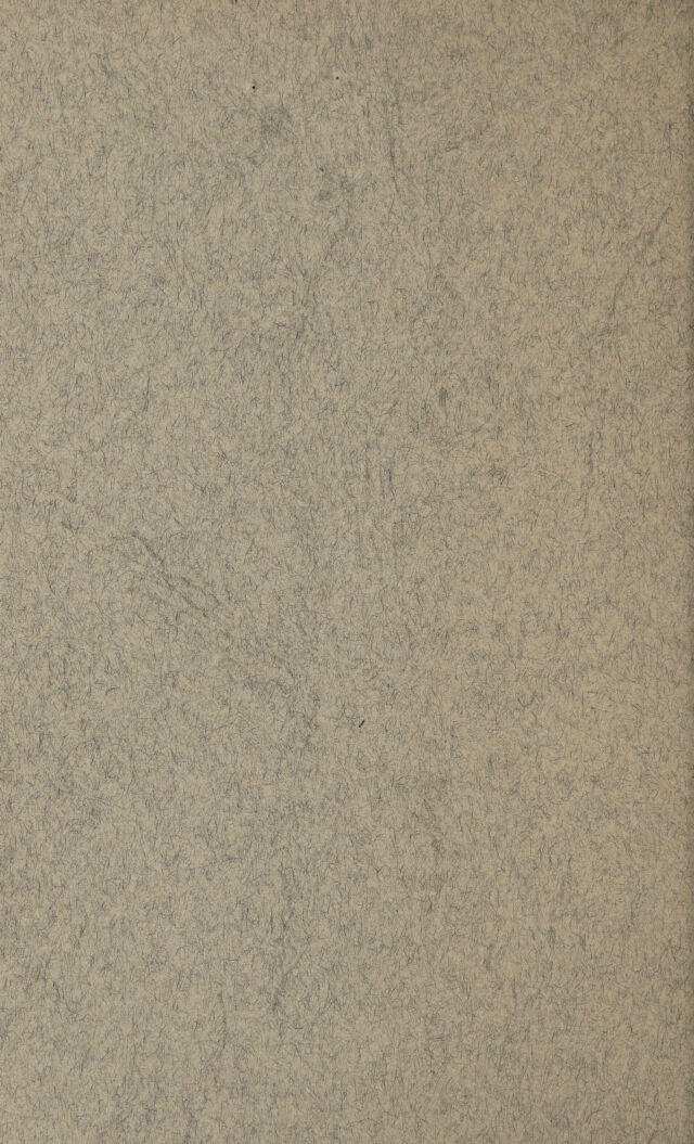 digitised image 2
