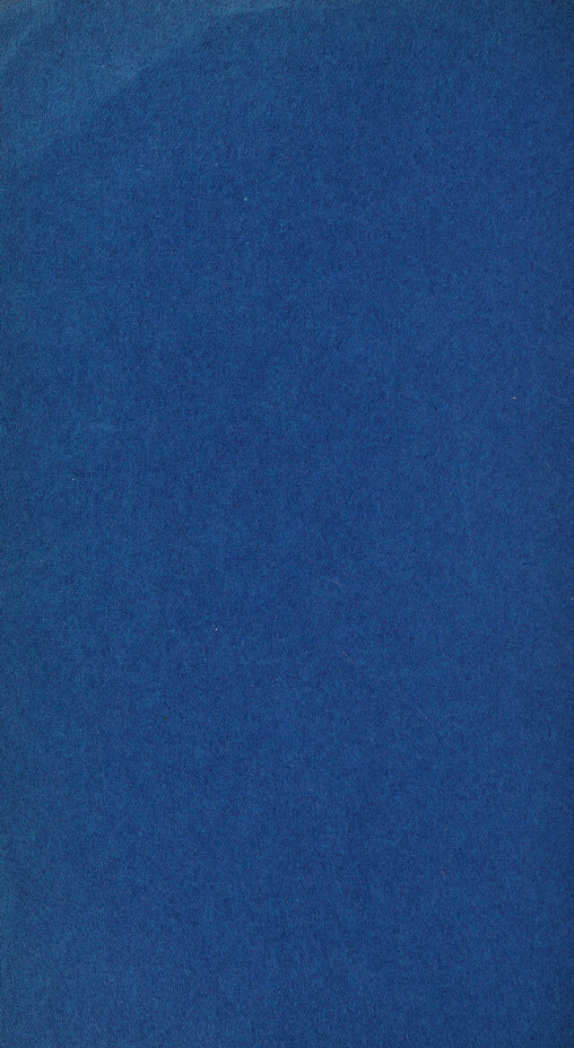digitised image 2