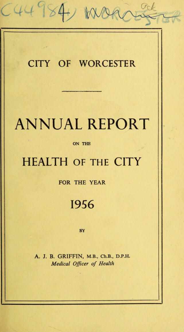 digitised image 1