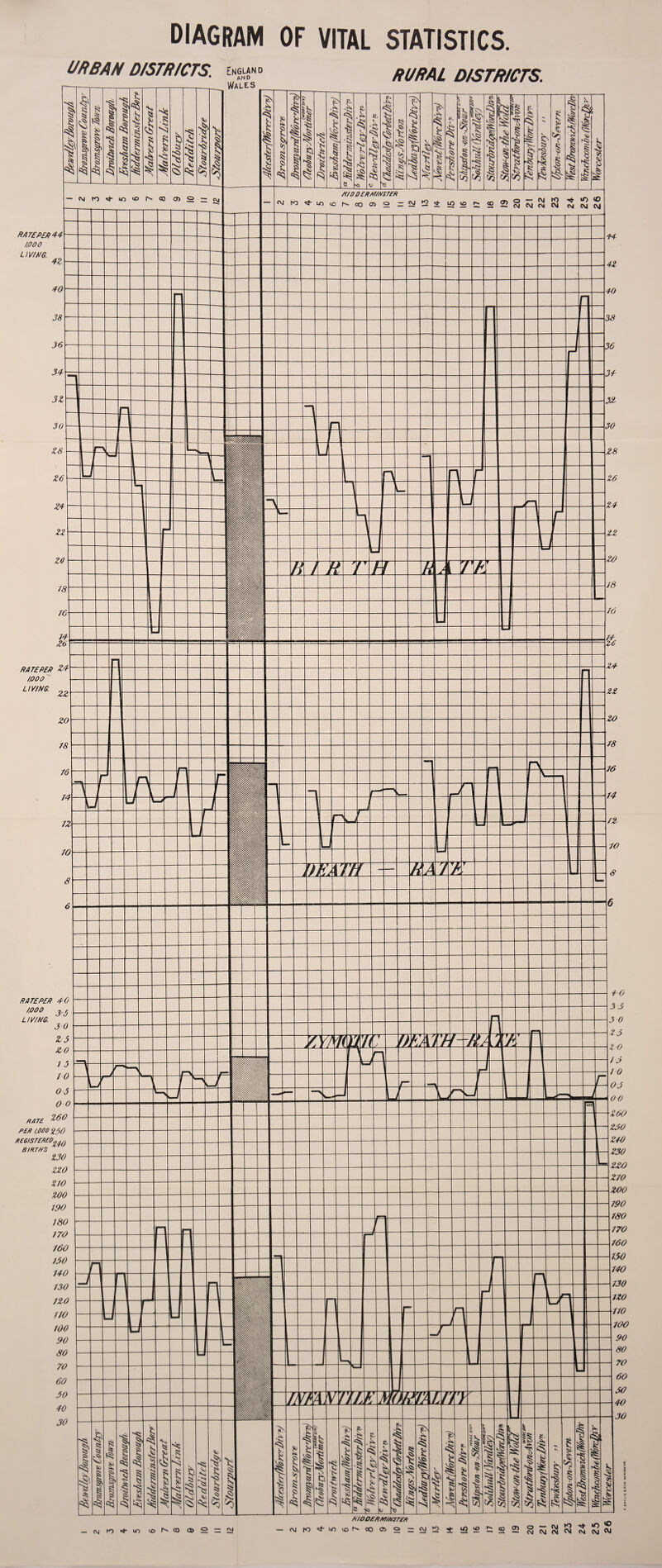 diagram of vital statistics.