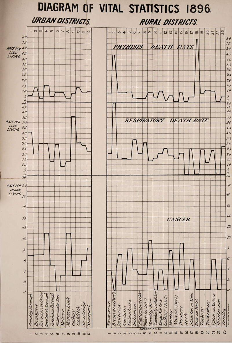 DIAGRAM OF VITAL STATISTICS 1896 URBAN D/SmCTS RURAL D/STR/CTS