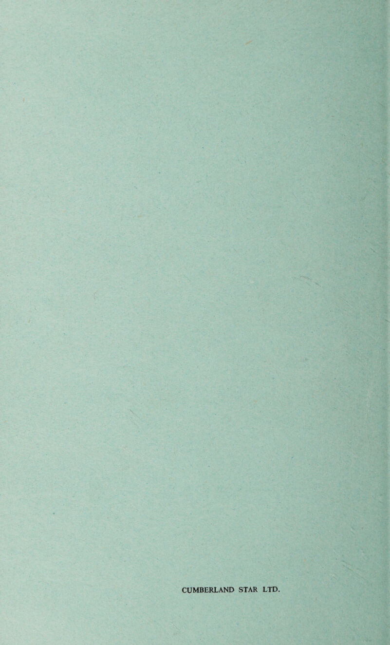 CUMBERLAND STAR LTD.